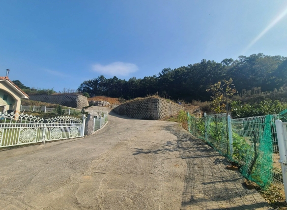 세종특별자치시 연서면 신대리 307-5 외 4필지 임야 경매 사진 6