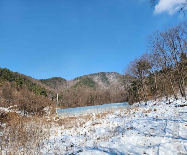 충청남도 예산군 예산읍 향천리 15-5 외 2필지 임야 경매 사진 2