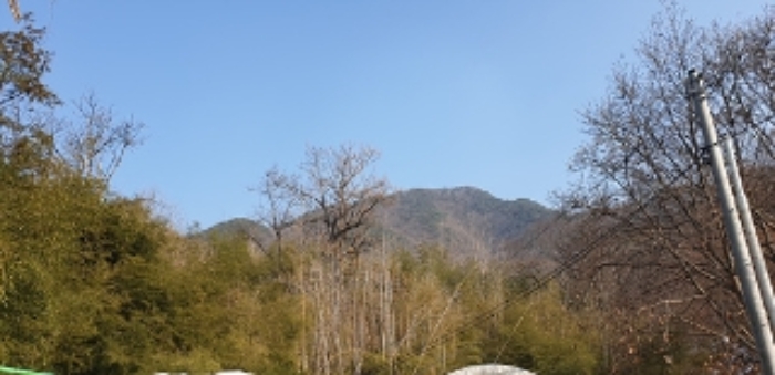 충청남도 예산군 예산읍 향천리 15-5 외 2필지 임야 경매 사진 11
