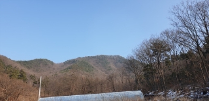 충청남도 예산군 예산읍 향천리 15-5 외 2필지 임야 경매 사진 12