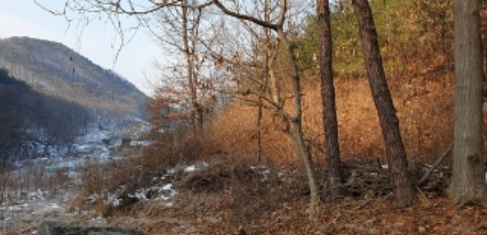충청남도 예산군 예산읍 향천리 15-5 외 2필지 임야 경매 사진 18