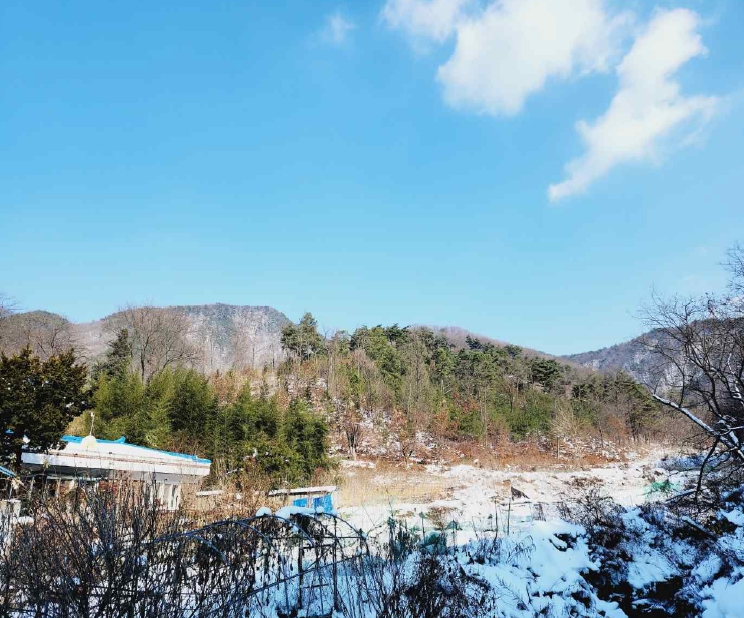충청남도 예산군 예산읍 향천리 15-5 외 2필지 임야 경매 사진 4