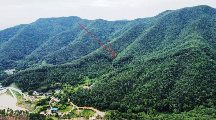 충청남도 예산군 예산읍 향천리 15-5 외 2필지 임야 경매 사진 7