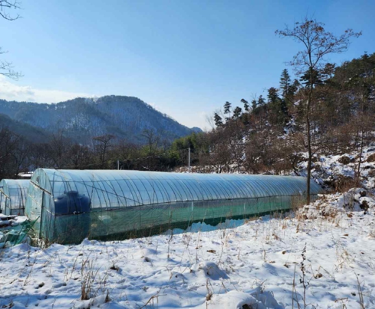 충청남도 예산군 예산읍 향천리 22 외 2필지 전 경매 사진 2