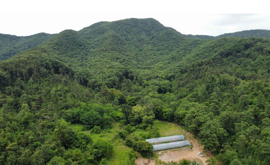 충청남도 예산군 예산읍 향천리 22 외 2필지 전 경매 사진 3