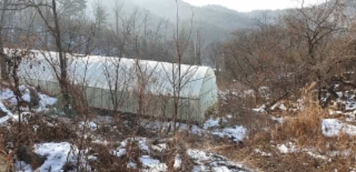 충청남도 예산군 예산읍 향천리 22 외 2필지 전 경매 사진 7
