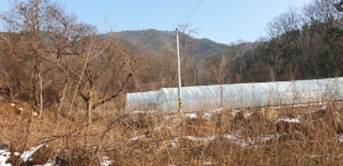 충청남도 예산군 예산읍 향천리 22 외 2필지 전 경매 사진 9