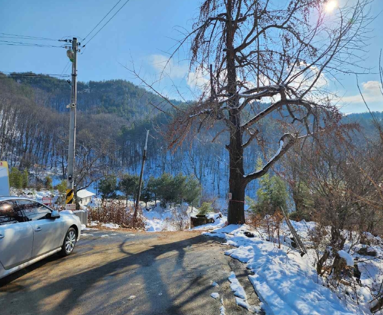 충청남도 예산군 예산읍 향천리 36 외 2필지 대지 경매 사진 1