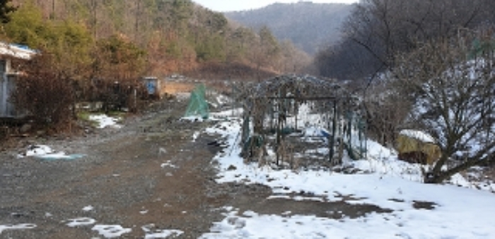 충청남도 예산군 예산읍 향천리 36 외 2필지 대지 경매 사진 14
