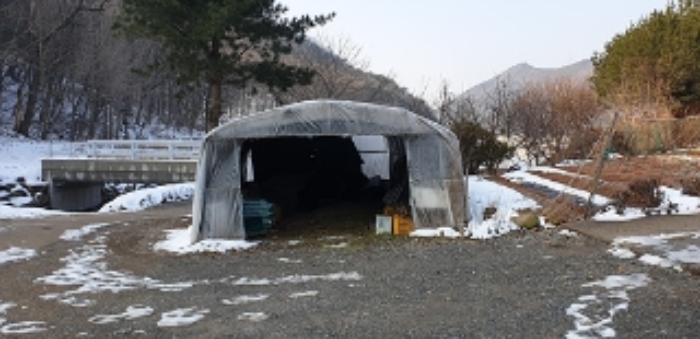 충청남도 예산군 예산읍 향천리 36 외 2필지 대지 경매 사진 16