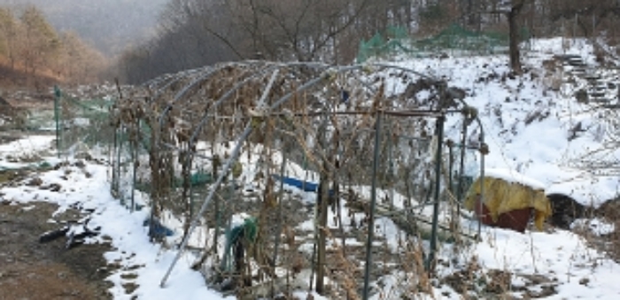 충청남도 예산군 예산읍 향천리 36 외 2필지 대지 경매 사진 18
