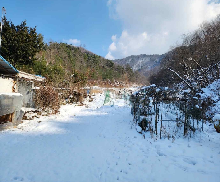 충청남도 예산군 예산읍 향천리 36 외 2필지 대지 경매 사진 3