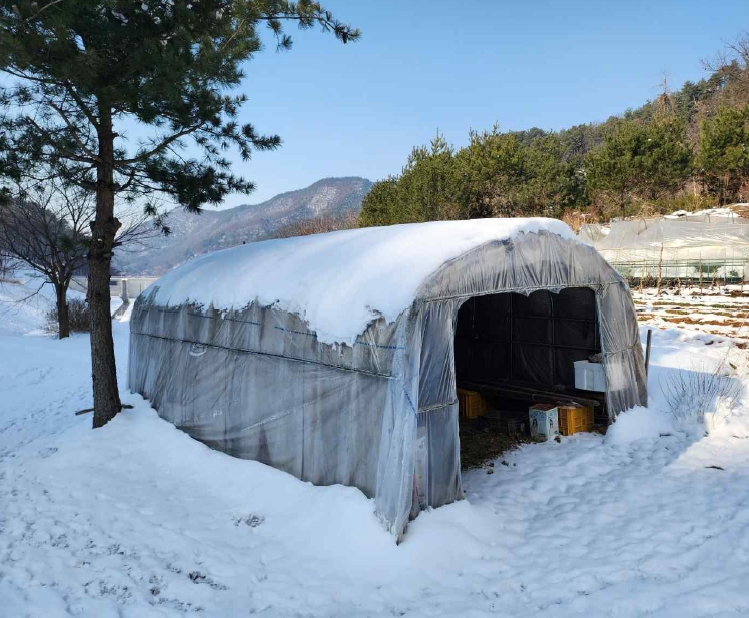 충청남도 예산군 예산읍 향천리 36 외 2필지 대지 경매 사진 4