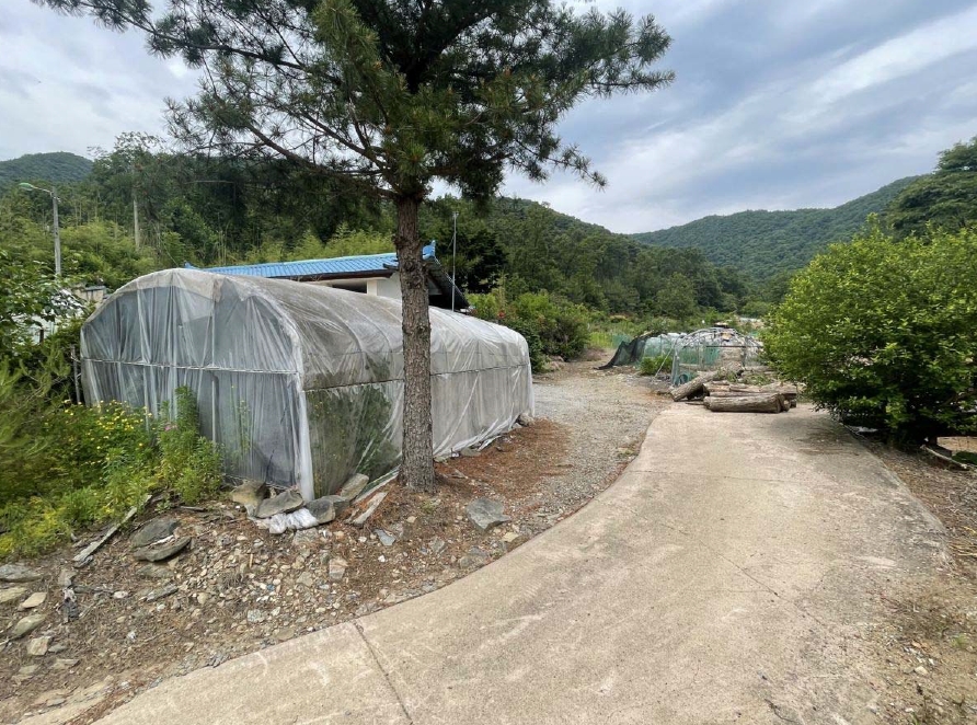 충청남도 예산군 예산읍 향천리 36 외 2필지 대지 경매 사진 7