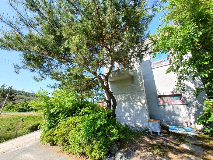 경상남도 하동군 진교면 안심리 181-1 외 1필지 공장 경매 사진 26