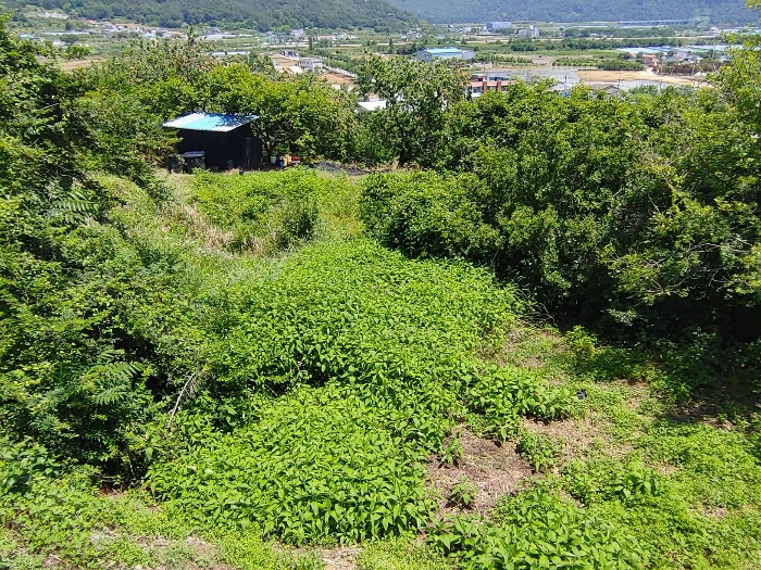 경상남도 밀양시 용평동 439-5 외 3필지 전 경매 사진 11