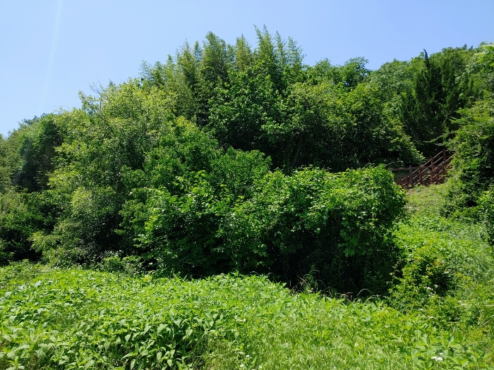 경상남도 밀양시 용평동 439-5 외 3필지 전 경매 사진 8
