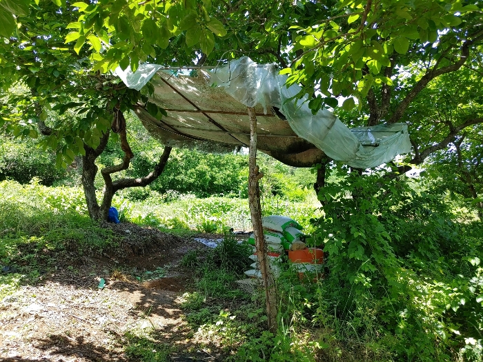 경상남도 밀양시 용평동 439-5 외 3필지 전 경매 사진 10