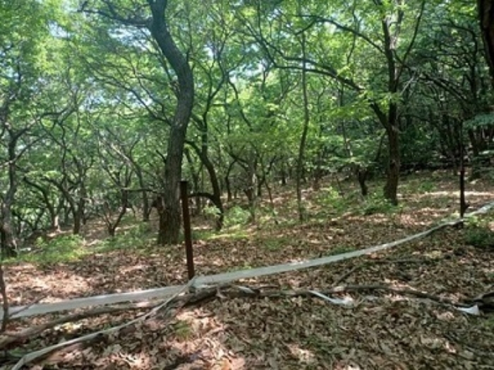 경기도 의정부시 산곡동 산64-3 임야 경매 사진 1