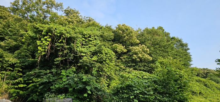 경기도 의정부시 산곡동 산64-3 임야 경매 사진 11