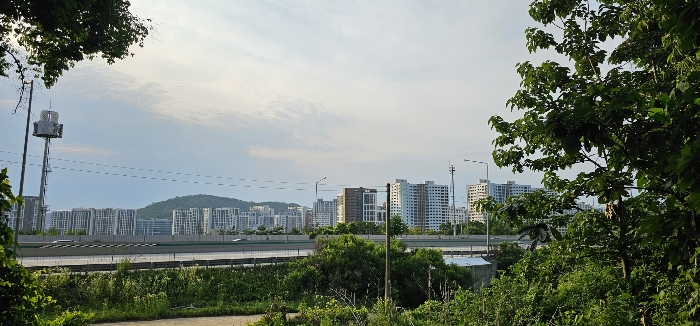 경기도 의정부시 산곡동 산64-3 임야 경매 사진 15