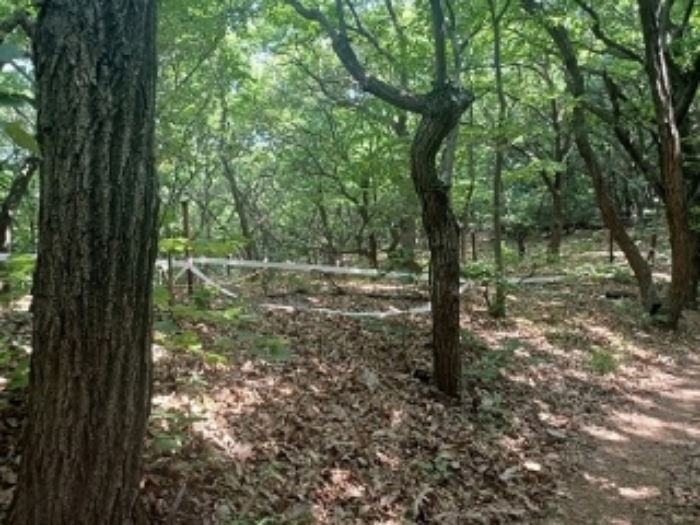 경기도 의정부시 산곡동 산64-3 임야 경매 사진 4
