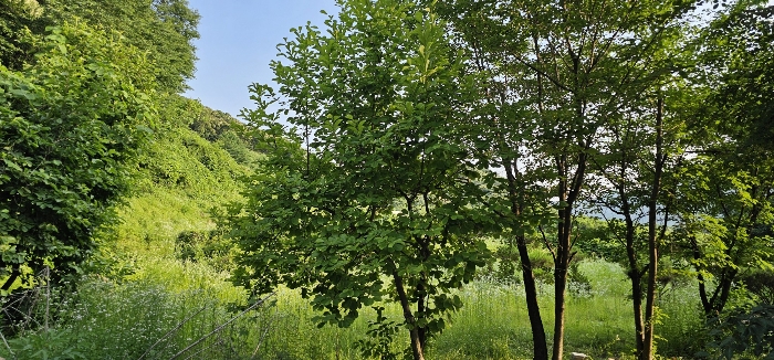 경기도 의정부시 산곡동 산64-3 임야 경매 사진 6