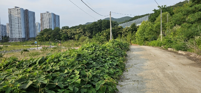 경기도 의정부시 산곡동 산64-3 임야 경매 사진 10
