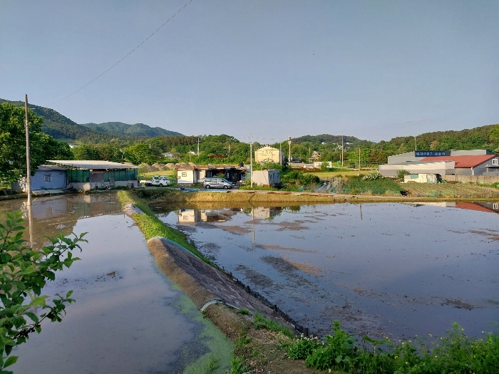 경기도 양평군 용문면 금곡리 140-7 답 경매 사진 24