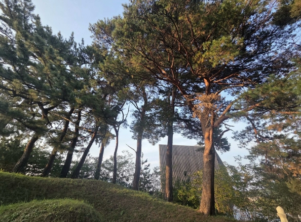 강원특별자치도 강릉시 포남동 245-3 외 3필지 교육연구시설 경매 사진 22