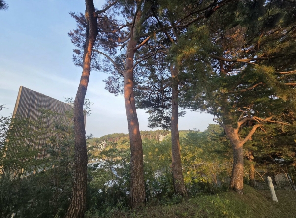 강원특별자치도 강릉시 포남동 245-3 외 3필지 교육연구시설 경매 사진 23