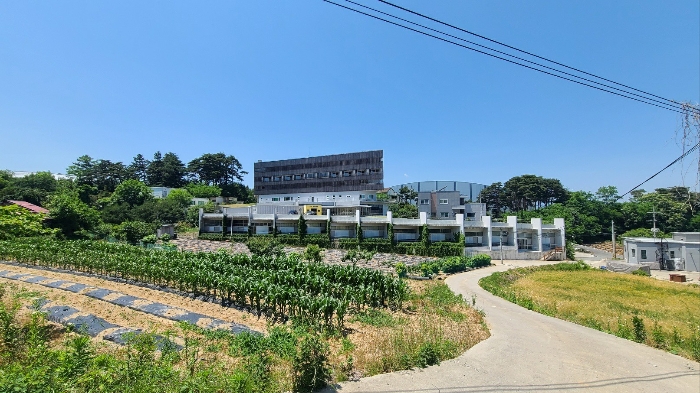 강원특별자치도 강릉시 포남동 245-3 외 3필지 교육연구시설 경매 사진 24