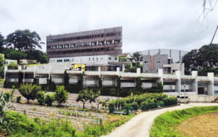 강원특별자치도 강릉시 포남동 245-3 외 3필지 교육연구시설 경매 사진 5