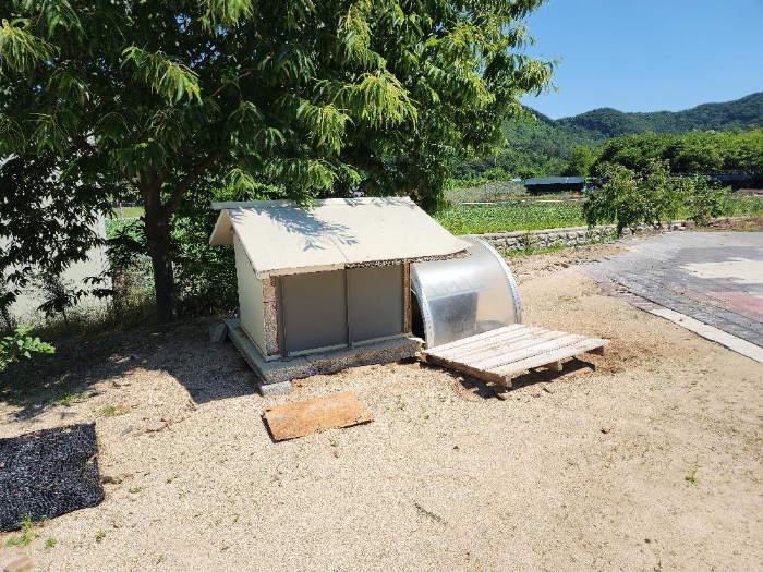 충청북도 보은군 내북면 성암리 172 외 2필지 공장 경매 사진 33