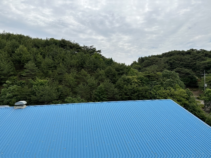 충청남도 당진시 정미면 천의리 323-1 외 2필지 공장 경매 사진 113