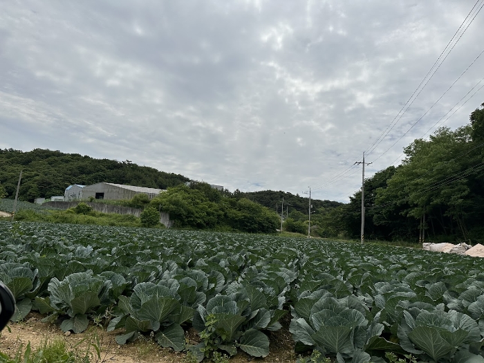 충청남도 당진시 정미면 천의리 323-1 외 2필지 공장 경매 사진 115