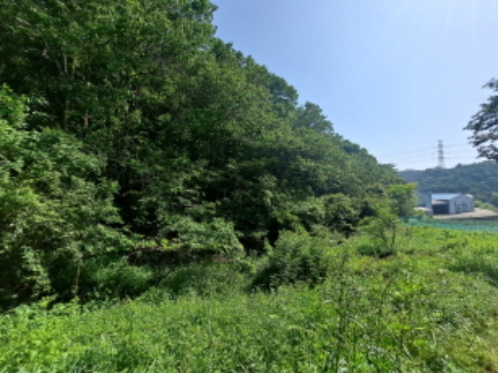 충청남도 당진시 정미면 천의리 323-1 외 2필지 공장 경매 사진 78