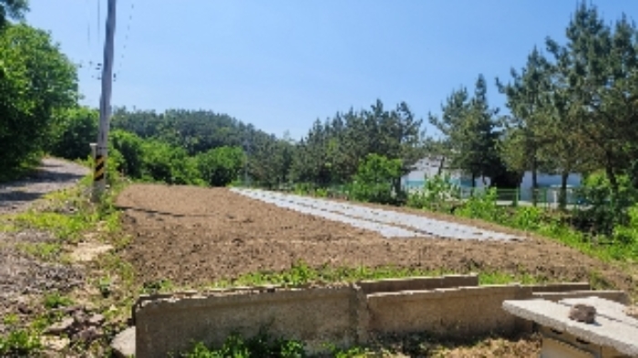 경상남도 함안군 법수면 백산리 503 외 15필지 답 경매 사진 3