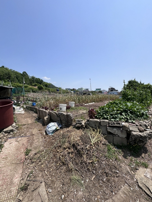 경상남도 사천시 서동 19 전 경매 사진 3