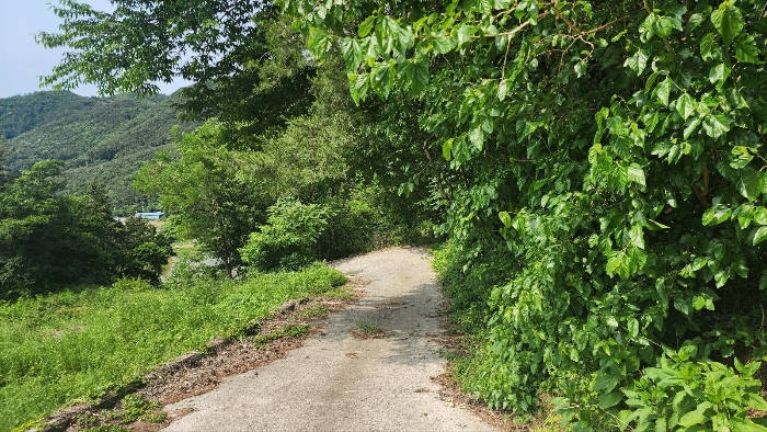 경상남도 남해군 서면 중현리 373 임야 경매 사진 3