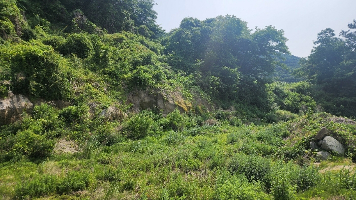 경상남도 남해군 서면 중현리 373 임야 경매 사진 4