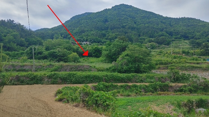 경상남도 남해군 이동면 용소리 1322 전 경매 사진 11
