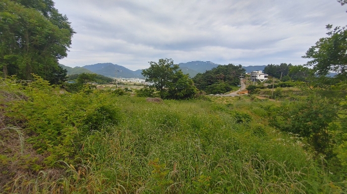 경상남도 남해군 이동면 용소리 1322 전 경매 사진 12