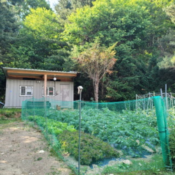 경기도 파주시 법원읍 법원리 389-1 외 8필지 단독주택 경매 사진 99