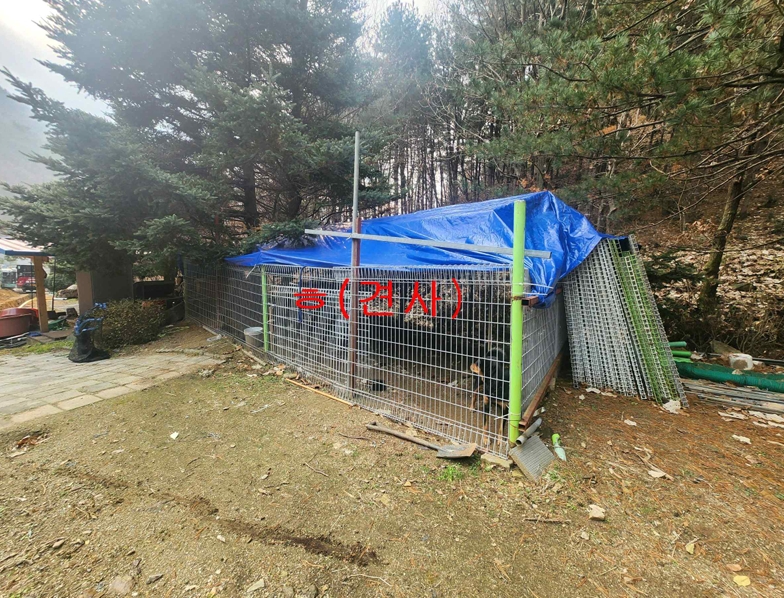 경기도 파주시 법원읍 법원리 389-1 외 8필지 단독주택 경매 사진 20