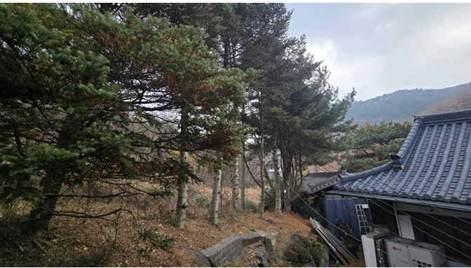 경기도 파주시 법원읍 법원리 389-1 외 8필지 단독주택 경매 사진 25