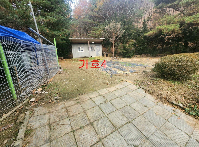 경기도 파주시 법원읍 법원리 389-1 외 8필지 단독주택 경매 사진 7