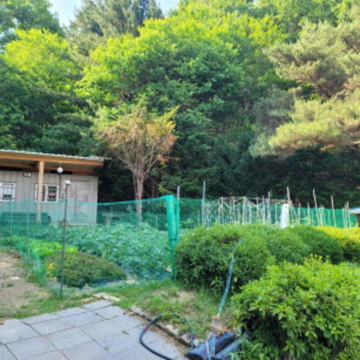 경기도 파주시 법원읍 법원리 389-1 외 8필지 단독주택 경매 사진 97