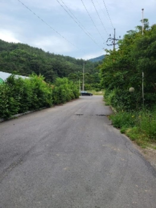 전라남도 화순군 도곡면 원화리 304-2 외 2필지 숙박시설 경매 사진 1