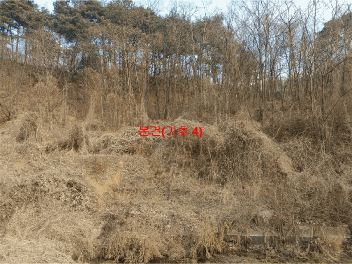경상남도 합천군 묘산면 관기리 495-1 외 5필지 답 경매 사진 17